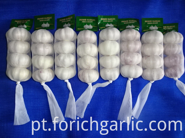 Normal White Garlic